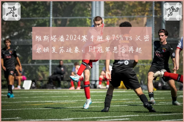 维斯塔潘2024赛季胜率75% vs 汉密尔顿复苏迹象,F1冠军悬念再起