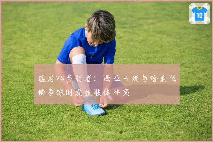 猛龙vs步行者:西亚卡姆与哈利伯顿争球时发生肢体冲突