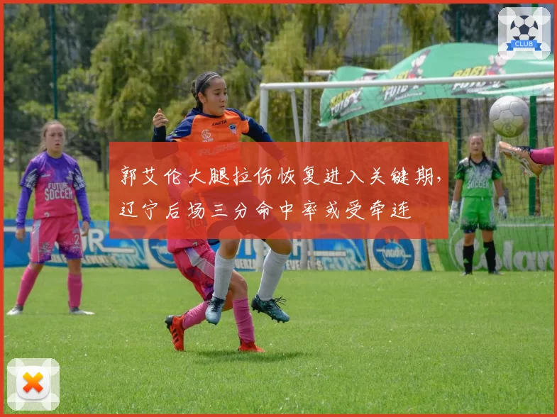 郭艾伦大腿拉伤恢复进入关键期,辽宁后场三分命中率或受牵连